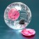 Ball for rodents Carno, 18.5 cm, pink