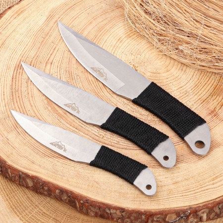 A set of throwing knives "Zakari", in a braid, 3pcs.-1