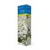 Small hydrangea (North Garden series) "Brassels Lace" 1 pc, tube, spring 2025