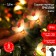 Lamp Garden Era on the Solar Battery "Bees" LED, IP54