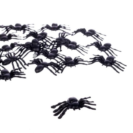 Joke candidate with spider "pumpkin"-2
