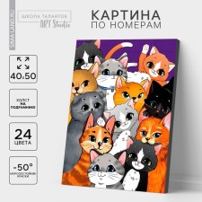 Picture on numbers on a canvas with a subframe 