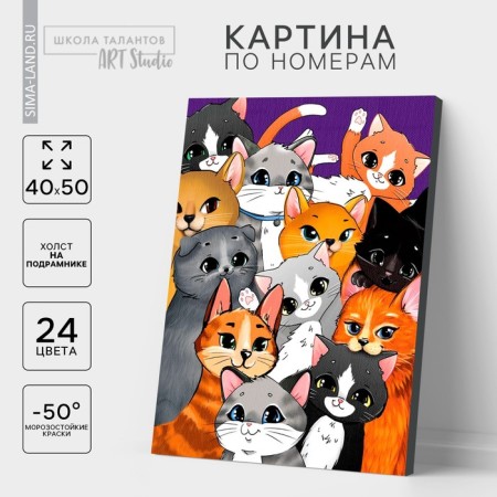 Picture on numbers on a canvas with a subframe "Many cats", 40 x 50 cm