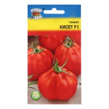 Seeds Tomat 