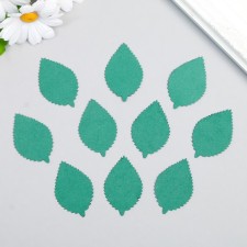 Foamiran's blank 
