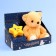 Napchik children with a soft toy "Bear"