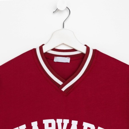 Male Harvard T -shirt, Bordeaux Color, One Size size-6