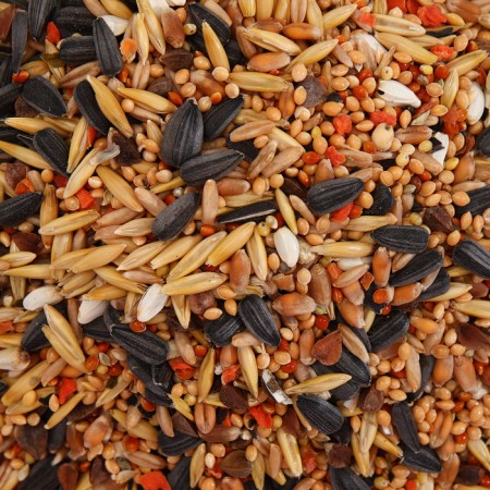 Feed "Pijon" for medium parrots, with vitamins and minerals, 400 g-2