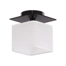 Светильник потолочный ЭкономСвет 24088/1BK WT, 1х60Вт, E27, 17х16х17 см, цвет чёрный