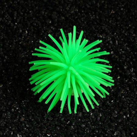 Decorative anemon for the aquarium, 8 x 5 cm, green-1