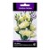 Eustoma flower seeds of large -flowered Eibisi Yello, 10pcs