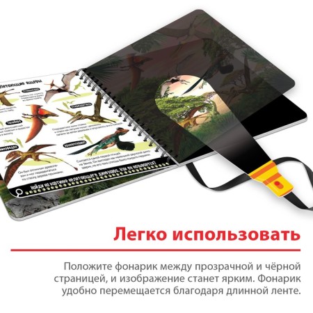 Secret book with a magic flashlight "Dinoland", 22 p.-3