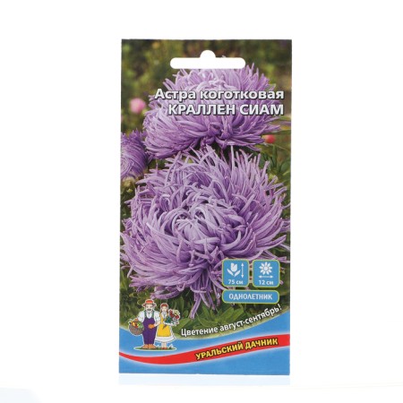Flowers Astra Clack "Siam Kralane", 0, 2 g
