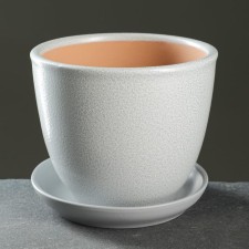 Flower Pot 