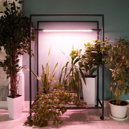 Lamp for plants LED linear, 900 mm Uniel, 14 W, LED, IP65, Color transparent-9