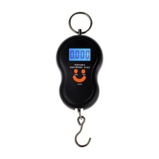 Liuzon LV-402 scales, electronic, up to 50 kg, accuracy up to 10 g, backlight, mix