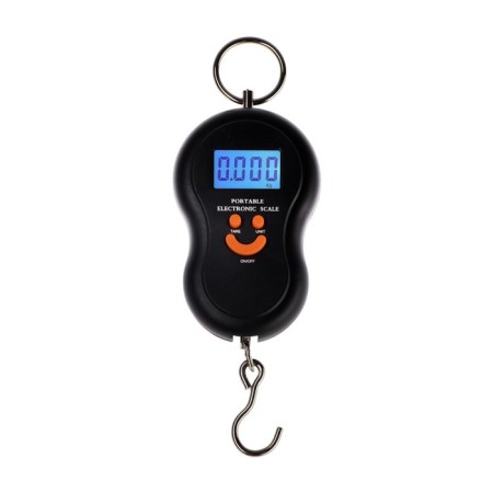 Liuzon LV-402 scales, electronic, up to 50 kg, accuracy up to 10 g, backlight, mix