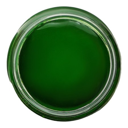 Gouache "ray" classics color, 240 ml, green light-2