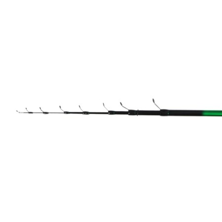 The rod s/c namazu pelagus bolo, test 10-40 g, length 5 m-1
