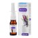 Organello-Kapli "Naturonik. Master Nose ", with sage and propolis, 10 ml
