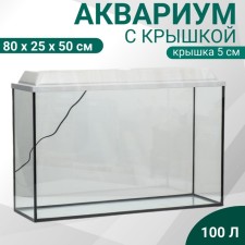 Aquarium rectangular 