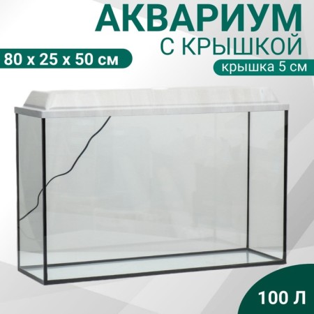 Aquarium rectangular "atall" with a lid, 100 liters, 80 x 25 x 50/55 cm, bleached oak