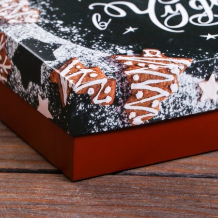 Box the team cover, "Mandarins", 21 x 15 x 5.7 cm-3