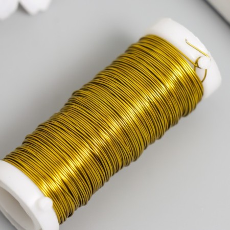 Wire for creativity "Gold" 30 meters, thickness 0.3 mm 5.5x2.2x2.2 cm-2
