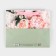 Packaging, Gift Laminated Horizontal, Pressent, Ml 27 x 23 x 11.5 cm