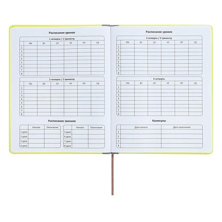 The universal diary for grades 1-11 is an excellent student, a solid cover made of artificial leather, silkography, lies, 48 ​​sheets, light green-5