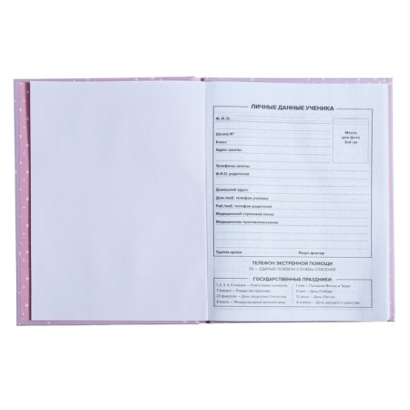 Universal Diary Grade 1-11, 48 sheets "kitten and mouse", solid cover, pancake embossing, UV-lame, matte lamination-4