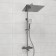 The shower system wasserkraft a199.119.126.087.ch Thermo, tropical shower, thermostat, chrome