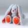 Soft toy Bunny Li