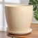 Flower Pot "Sand Beige Budo No. 7", 13 l