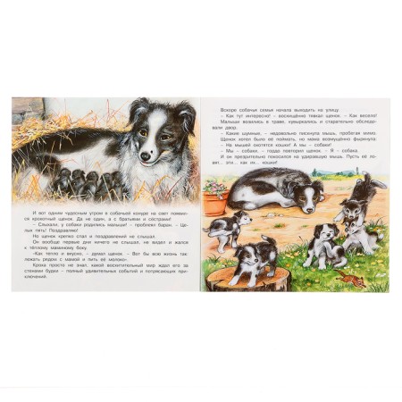 We know the world around us “The Adventures of the Puppy”, 16 p.-1
