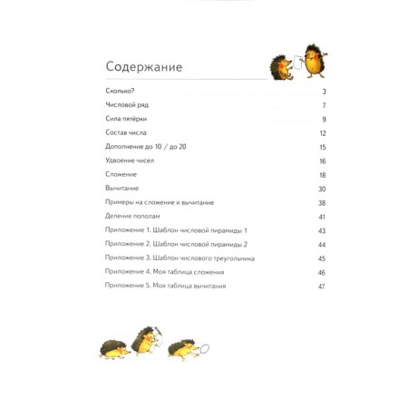 Mathematics. Quick account within 20. A set of materials for the student-2