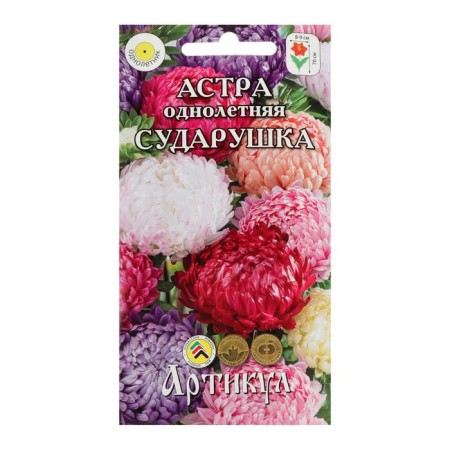 Flowers of Astra "Sudarushka", O 0.2 g.-3