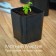 Pot for seedlings, 500 ml, d = 9 cm, h = 10 cm, black, Greengo