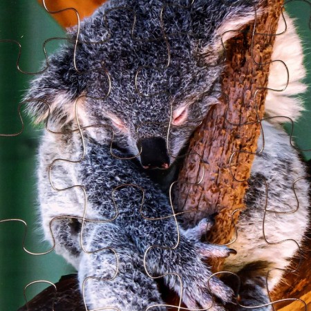 Puzzle series Fantasy "Koala", 24 details, size - 28 × 18.5 cm-2