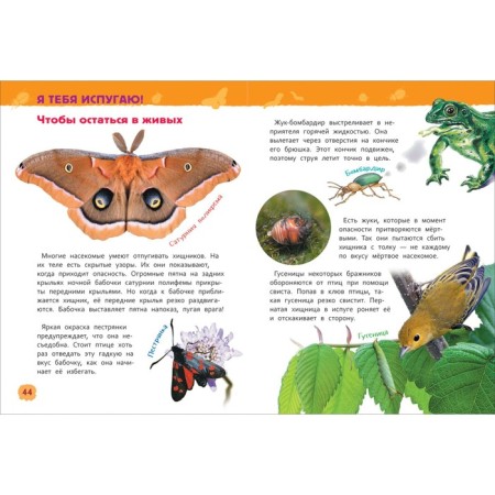 Encyclopedia for kindergarten "insects"-4
