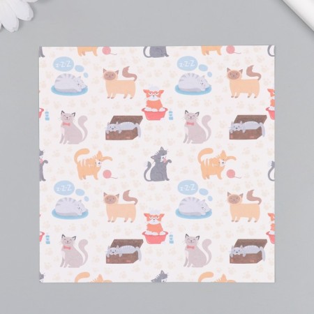 A set of scrapbooking paper 12 sheets 12 designs "Funny cats" 160 grams 15.2x15.2 cm-3