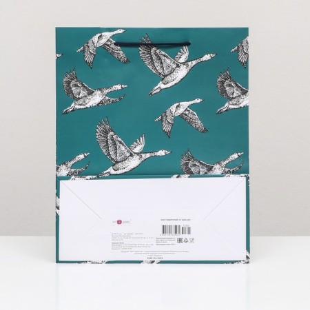 Gift "duck" package 26 x 32 x 12 cm-1