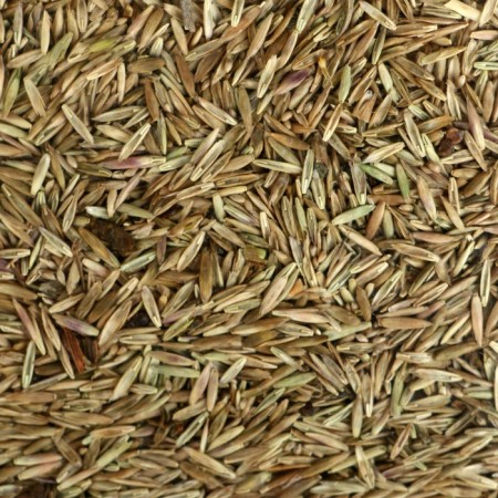 Lawn "Beauty", "Gnome" 1 kg-3