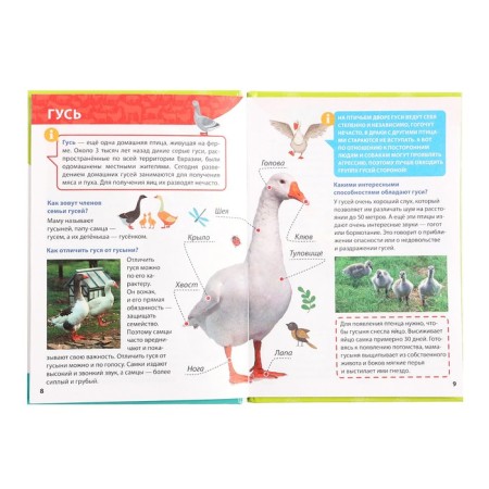 Encyclopedia for small cloaks "Farm animals"-4