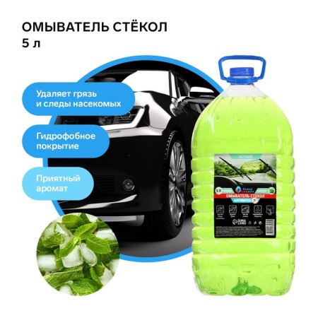 Winter Grand Caratt Summer, Antimukha, Menthol, 5 L