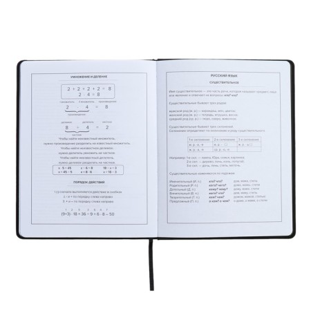 Universal Grade 1-11 Diary, 48 sheets "Girl 2", solid cover of artificial leather, lies, universal cheat sheet, block 80 g/m2-10