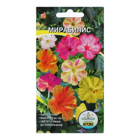Семена цветов Мирабилис смесь окрасок, О, 0,5 г-2