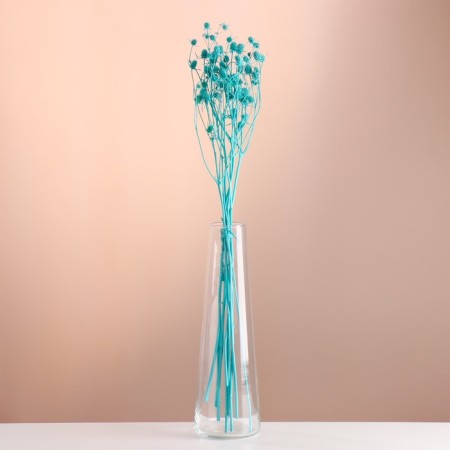A set of dried flowers "Eringium", ban 5 pcs, length 50 (+/- 6 cm), turquoise
