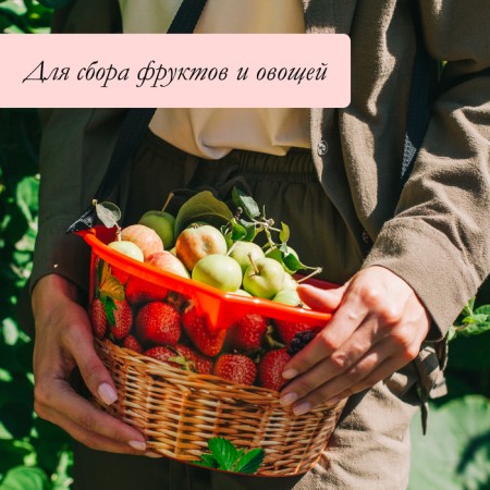 Capacity for collecting berries, 3 l, "raspberries", red-5