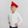 Pilot Pioneer, red